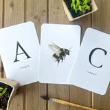 Garden Alphabet Cards | ABC Learning Flash Cards