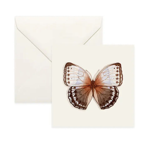 Butterflies & Moths / Card . Northern Jungle Queen