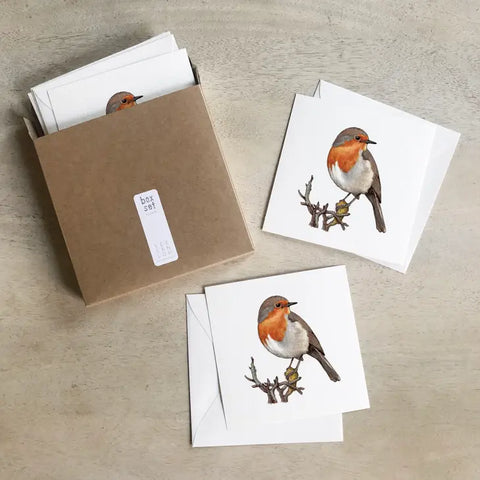 Birds / Cards Box Set . Robin