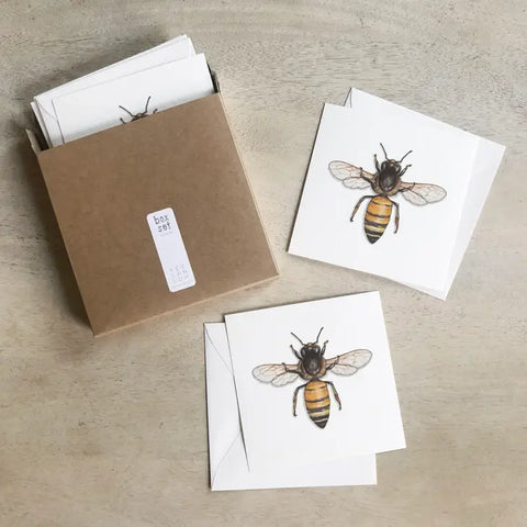 Bees & Honey / Cards Box Set . Honey Bee