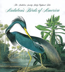 Audubon's Birds of America: the National Audubon Society Baby (Tiny Folio)