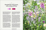 The Gardener's Palette: Creating Colour Harmony in the Garden by Jo Thompson