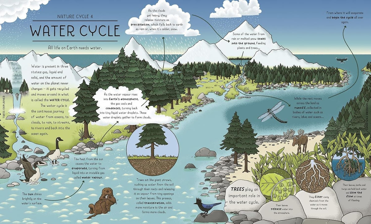 Nature Explained A Family Guide To 20 Nature Cycles By Helen Brown nature-explained-a-family-guide-to-20-nature-cycles-by-helen-brown