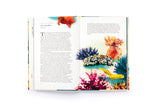 Around the Ocean in 80 Fish & Other Sea Life by Helen Scales