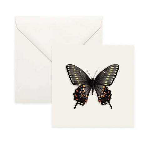 Butterflies & Moths . Card . Kahli Butterfly