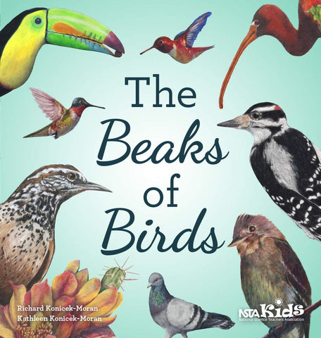 The Beaks of Birds by Richard Konicek-Moran