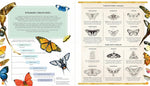The Secret Life of Butterflies by Rena Ortega