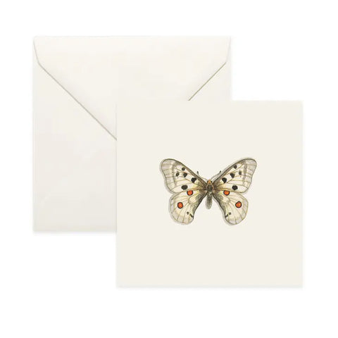 Butterflies & Moths / Card . Apollo