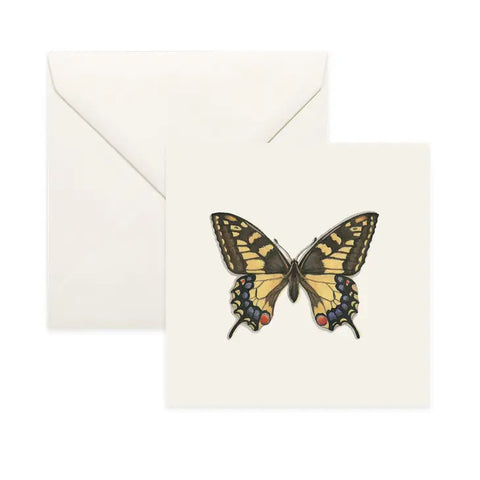 Butterflies & Moths / Card . Old World Swallowtail