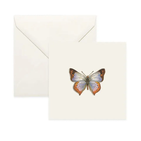 Butterflies & Moths / Card . Common Opal