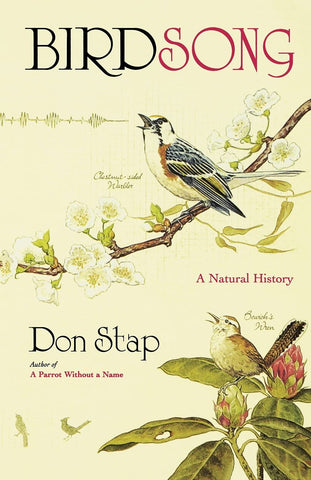 Birdsong by Don Stap