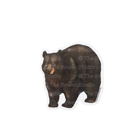 Black Bear Eco-Sticker