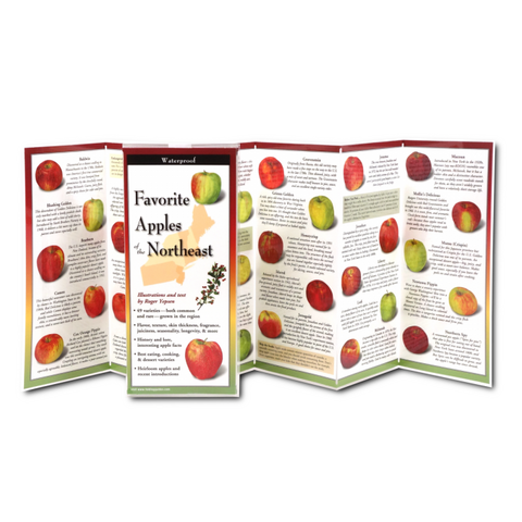 Favorite Apples of the Northeast (Folding Guides)