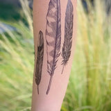 Feather Finds Temporary Tattoo (Hawk, Mocking Bird, Black Bird Feathers)