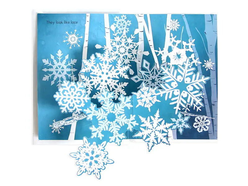 Flurry: A Mini Snowflakes Pop-Up Book – nature+nurture