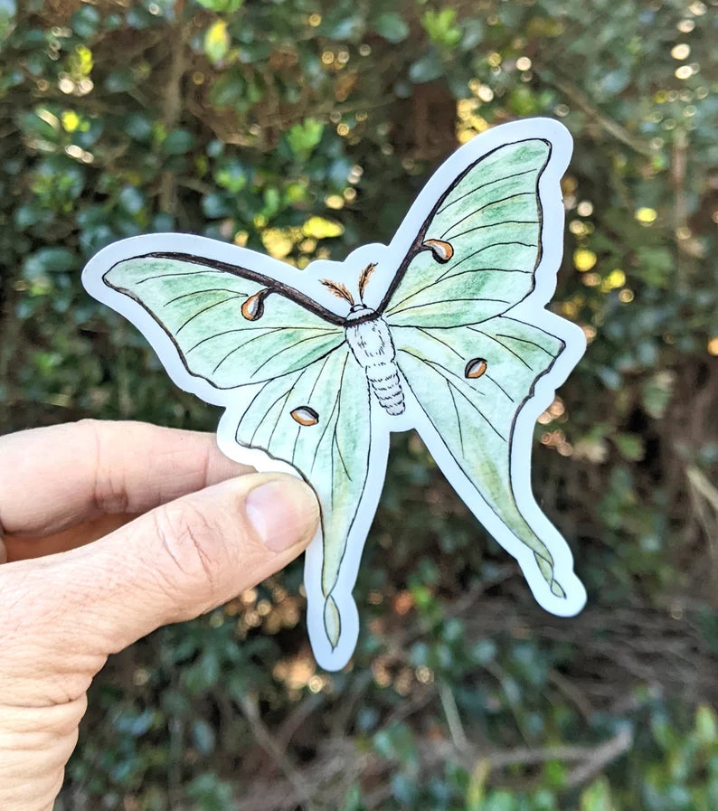 Luna Moth Waterproof Vinyl Sticker