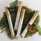 Monarchs Pencil Terrarium, Set of 5 Pencils