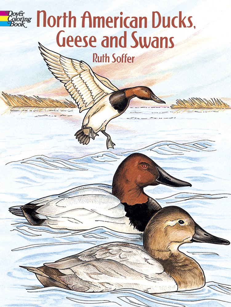 Ducks,　Swans　Coloring　Geese　Book　and　nature+nurture　Dover　–　North　American