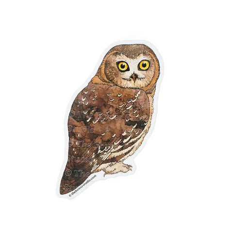 Northern Saw-Whet Owl Eco-Sticker