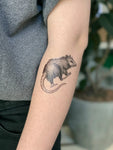 Opossum Temporary Tattoo