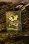 Sulphur Butterfly Pin Set