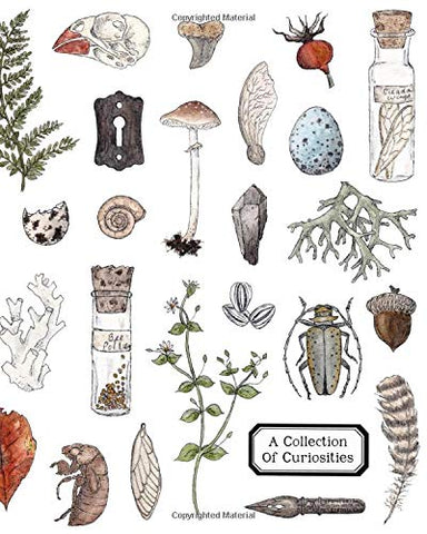 A Collection of Curiosities: A Sketchbook (Twig & Moth)