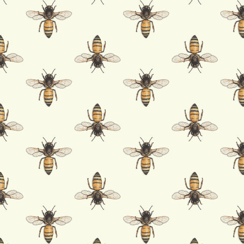 Bees & Honey: Honey Bee Gift Wrap