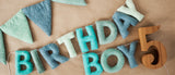 Birthday Boy Felt Letter Homemade Garland