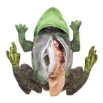 Frog Life Cycle Puppet