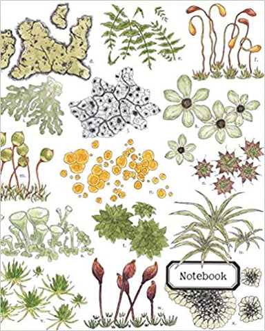 Lichen and Mosses Composition Notebook (Twig & Moth)