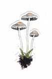 3 Grey Mushrooms Waterproof Sticker