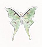 Luna Moth Sticker (Twig & Moth)