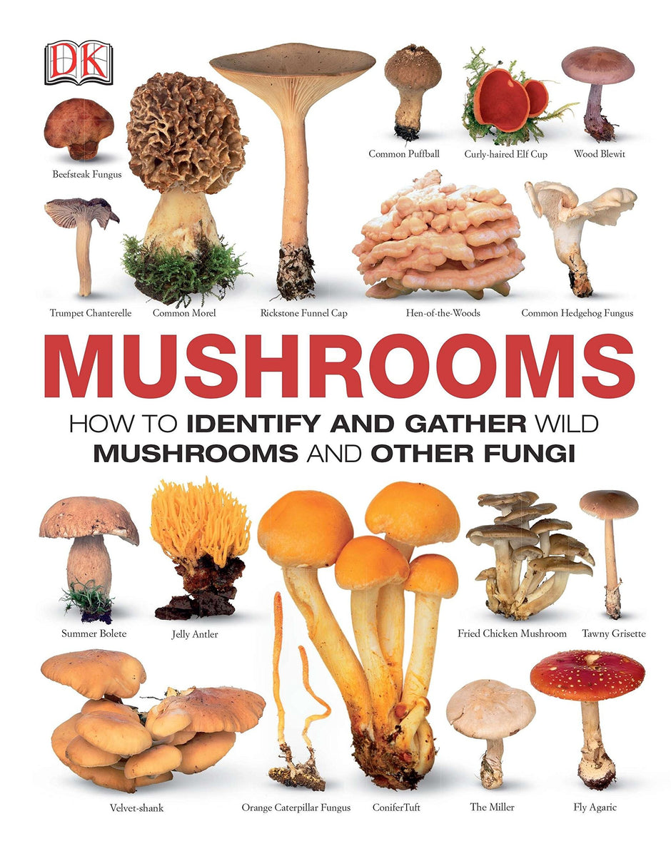 Mushrooms: How to Identify and Gather Wild Mushrooms and Other Fungi –  nature+nurture