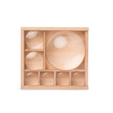 Huckleberry's My Little Museum Bug Box