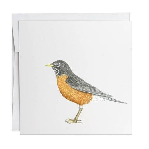 Note Card | Robin (3" by 3")
