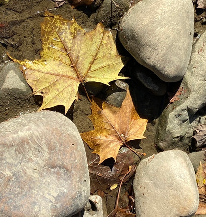 rocks + minerals