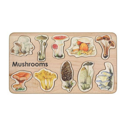 mushrooms + fungus