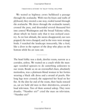 The Abundance: Narrative Essays Old and New by Annie Dillard