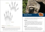 Animal Tracks of the Midwest: Easy-to-use Guide with 90 Track Illustrations
