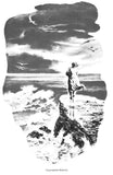 The Light at Tern Rock (Newbery Library, Puffin) by Julia L Sauer