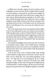 The Old Ways: A Journey on Foot (Landscapes #3) by Robert MacFarlane