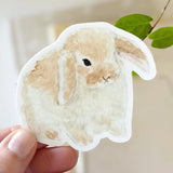 Bunny Sticker by Emily Lex