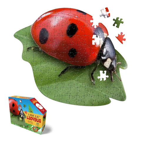 I Am Ladybug 300 Piece Jigsaw Puzzle