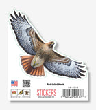 Red-Tailed Hawk Nature Sticker