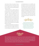 The 25 Days of Christmas: A Family Devotional to Help You Celebrate Jesus by James Merritt