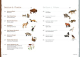 The Field Guide to Embroidery: 52 North American Animal and Plant Designs for Nature Lovers (Beginner-Friendly, Step-By-Step Wildlife Patterns with Birds, by Jessica Kemper