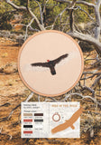 The Field Guide to Embroidery: 52 North American Animal and Plant Designs for Nature Lovers (Beginner-Friendly, Step-By-Step Wildlife Patterns with Birds, by Jessica Kemper