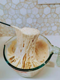 Organic, Non-Gmo Sourdough Starter (My Rustic Roots)