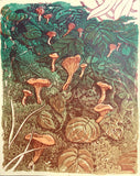 Chanterelles 8x10in Screenprint