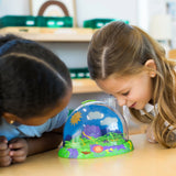 Original Ladybug Land™ with Voucher